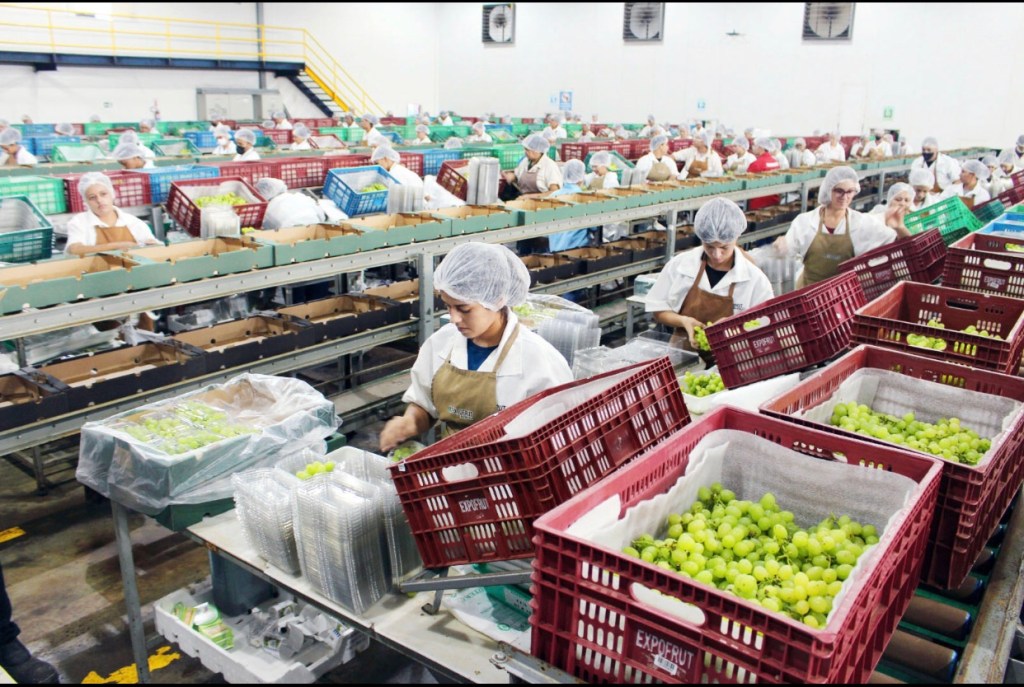 Valexport completa três décadas e meia comemorando os 128 anos de&nbsp;Petrolina