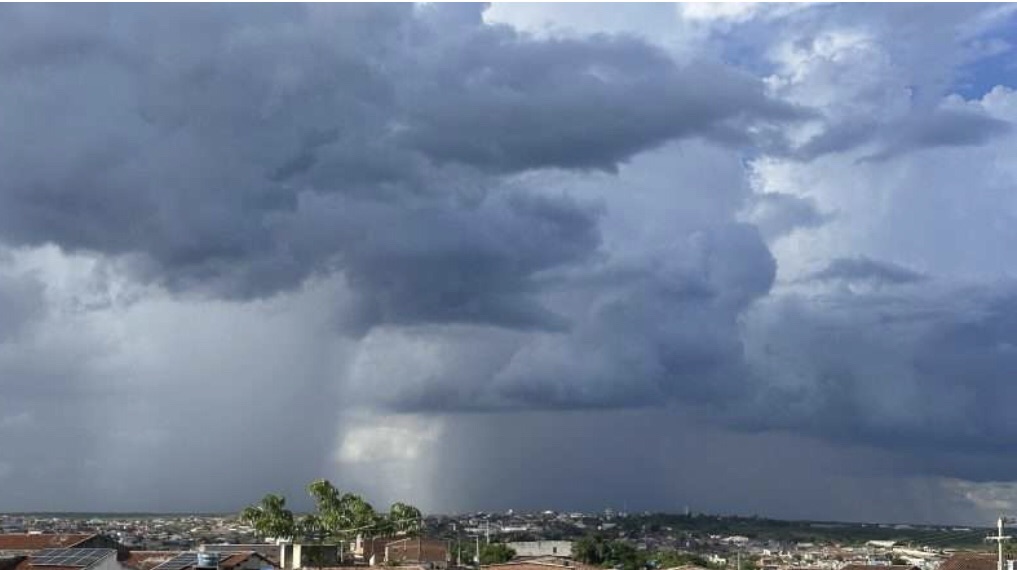 Chuvas animam agricultores no Sertão do&nbsp;Pajeú