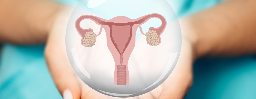 Até 2025, mais de 17 mil brasileiras terão câncer de colo de&nbsp;útero