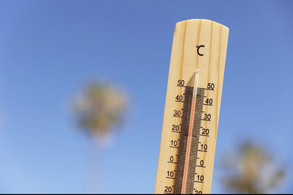 Carnaval: dicas para prevenir o calor e o excesso de bebidas&nbsp;alcoólicas