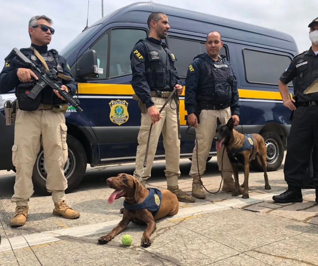 PF deflagra operação contra fraude em seguros automotivos em PE e mais dois&nbsp;estados