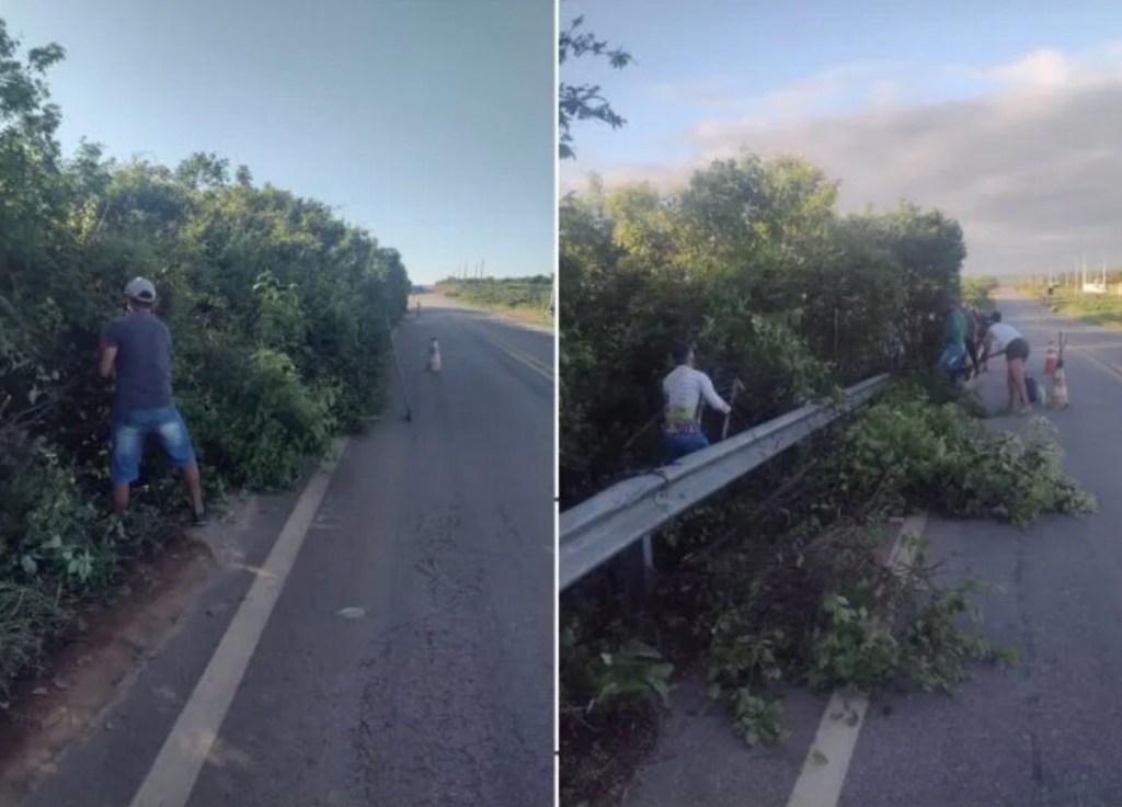 SJE: em protesto, ciclistas se juntam para roçar margem da&nbsp;PE-275