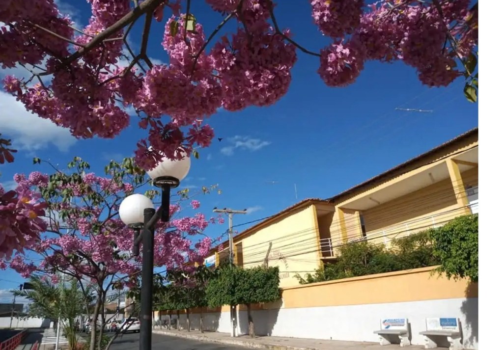 Autarquia Educacional de Serra Talhada abre processo seletivo para curso de&nbsp;Medicina