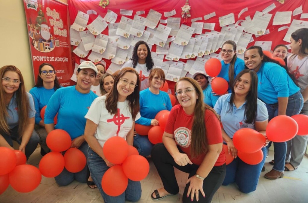 Realize o sonho de uma criança assistida pela Fundação Terra neste&nbsp;Natal