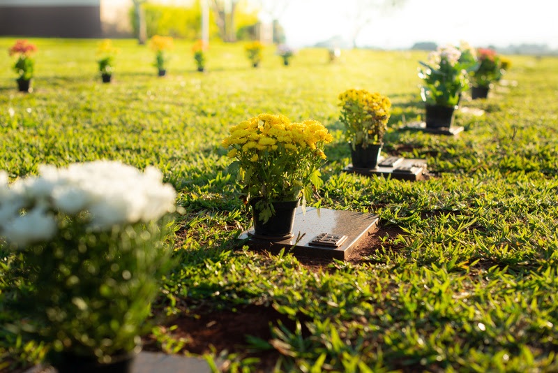 Dia do Luto reforça a importância de iniciativas de acolhimento às&nbsp;famílias