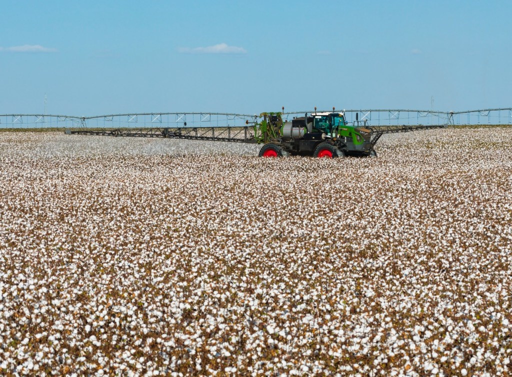 Dia Mundial do Algodão: Fendt contribui para expansão do setor algodoeiro com tecnologia de ponta no&nbsp;campo