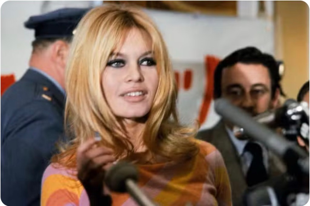 Brigitte Bardot, lenda do cinema francês, morre aos 91 anos após luta contra o&nbsp;câncer