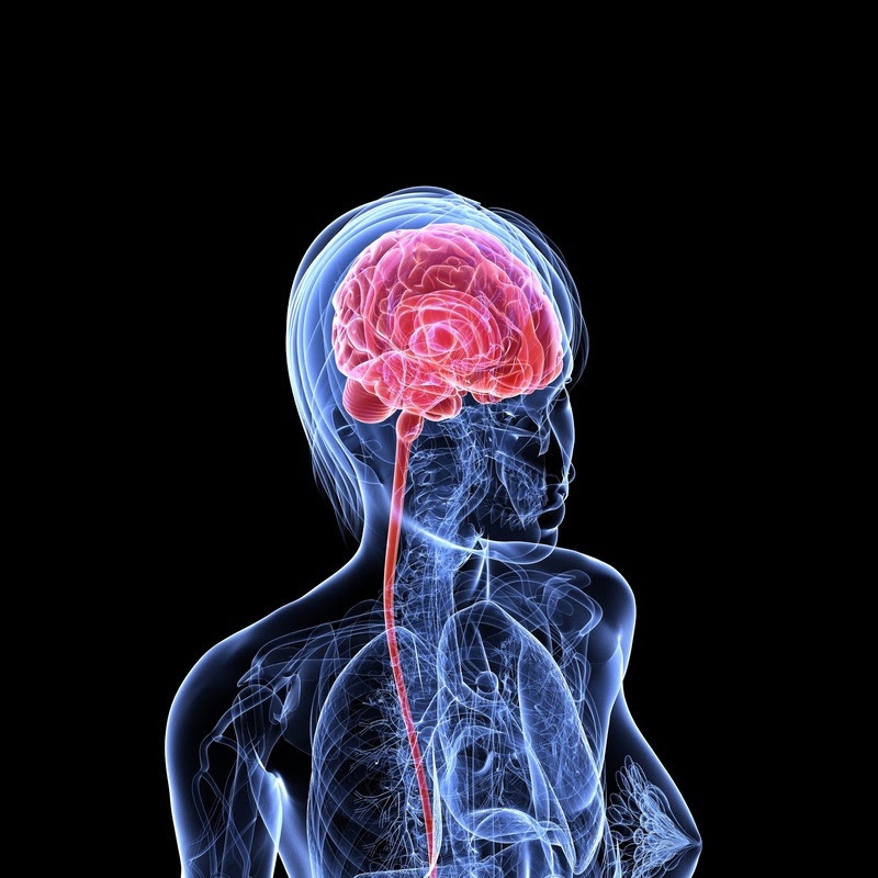 Mulheres tendem a ter sequelas piores de AVC que homens? Especialista&nbsp;explica